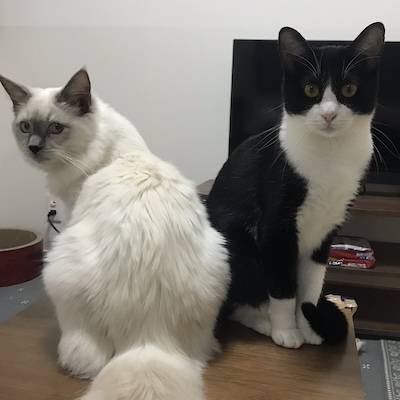 サブ写真2